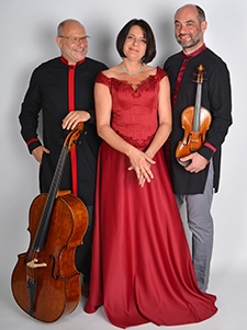 Janáčkova filharmonie - Smetanovo trio