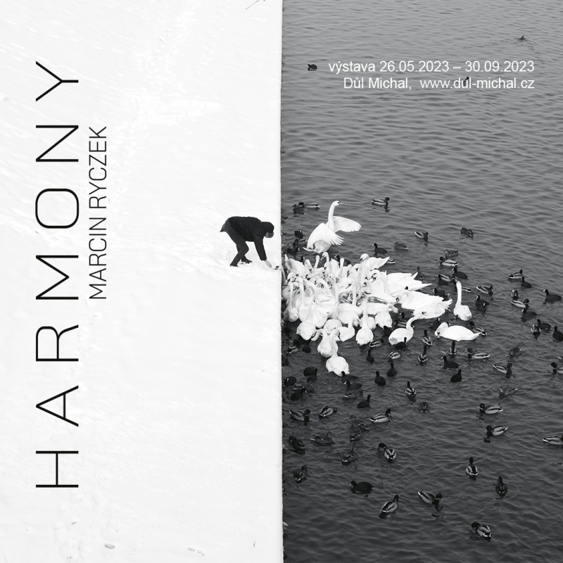 Marcin Ryczek - Harmony