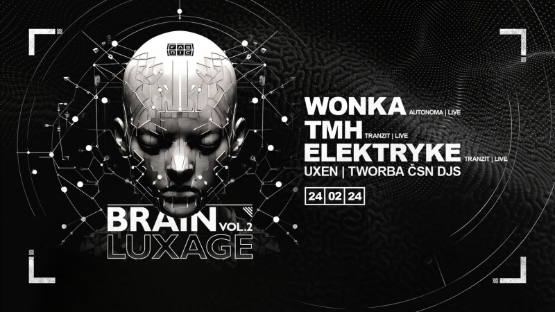 Brainluxage vol. 2