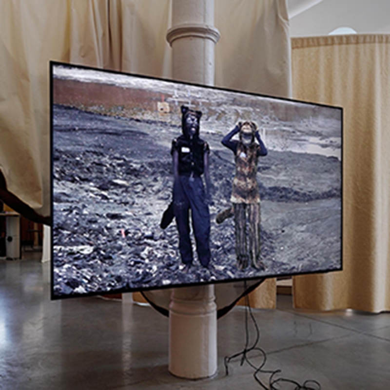 Evoluce (1. část) | Hybridní diskuze živě/stream/chat