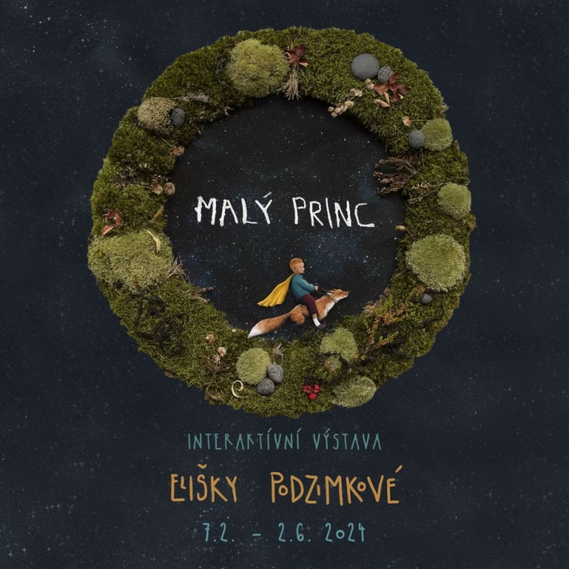 Malý princ Elišky Podzimkové