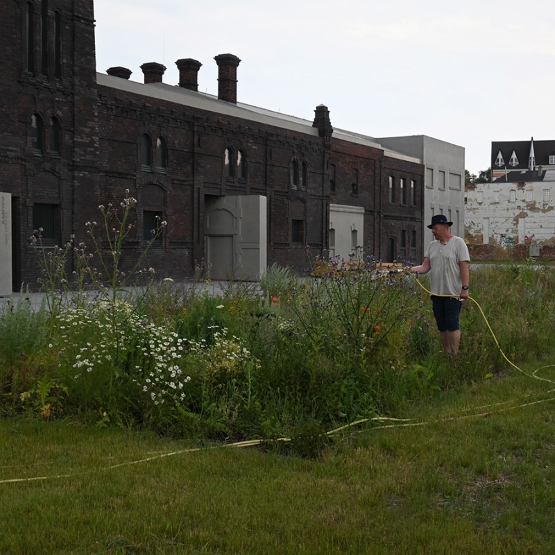 Tereza Stöckelová: Rozšířený metabolismus: Trhliny, ostrovy a místa srůstu | přednáška