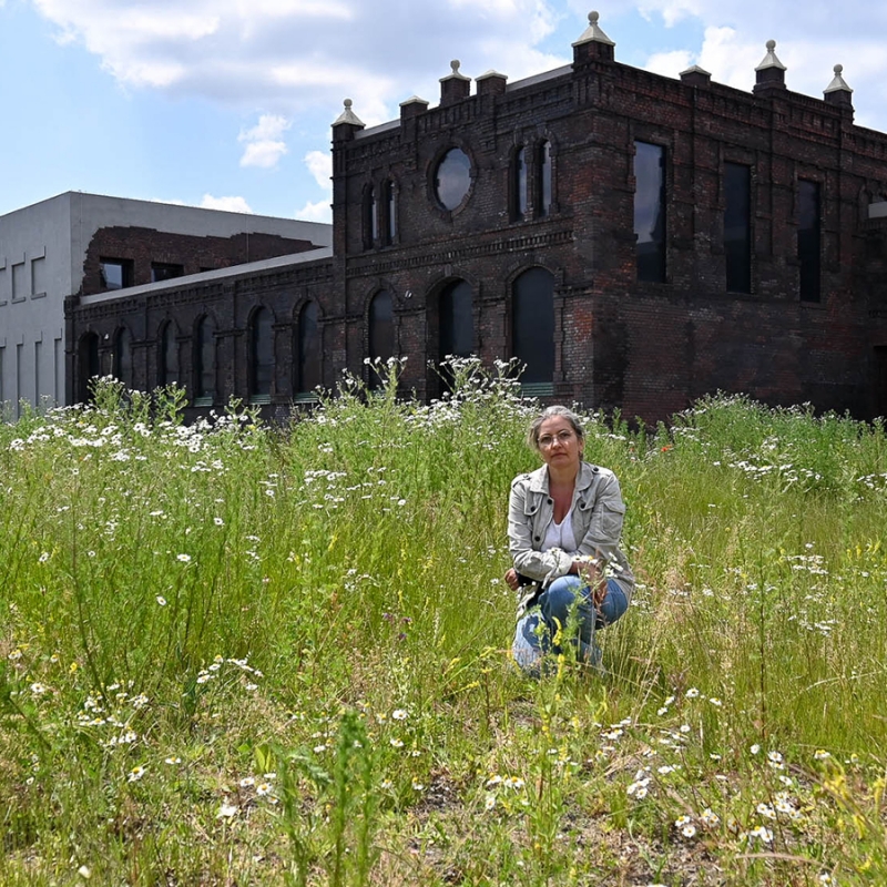 Společná práce a minikurz zahradničení bez rytí (5P) | Brigáda a minikurz