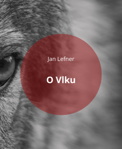 O vlku