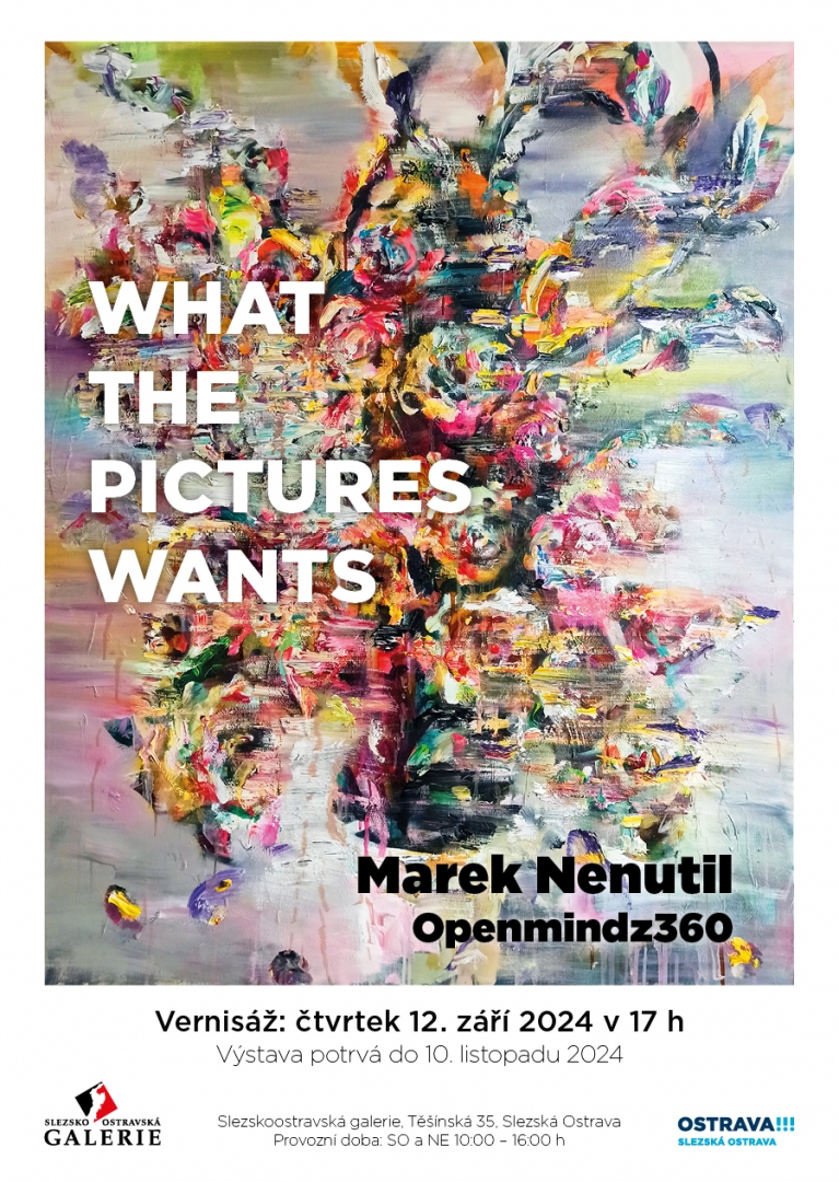 Marek Nenutil - What The Pictures Wants