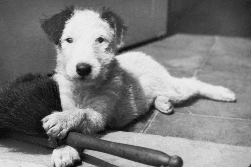 Karel Čapek , Karel František Tománek - Dášeňka