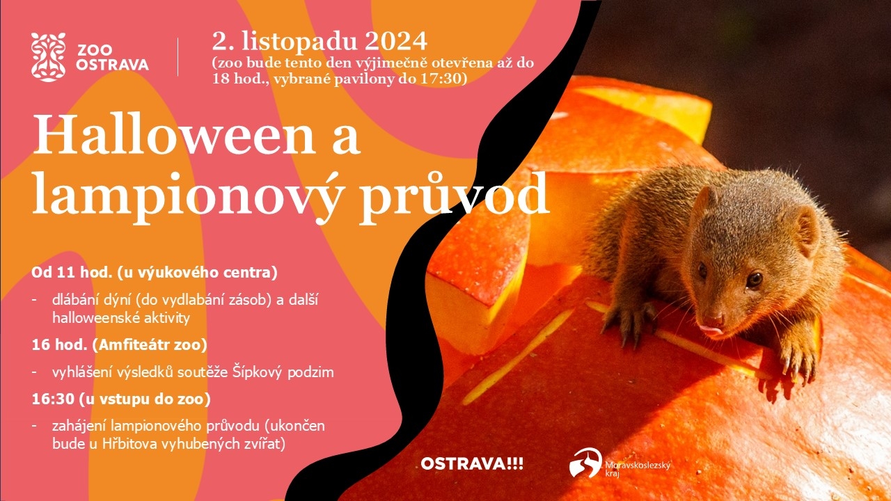 Halloween a lampionový průvod