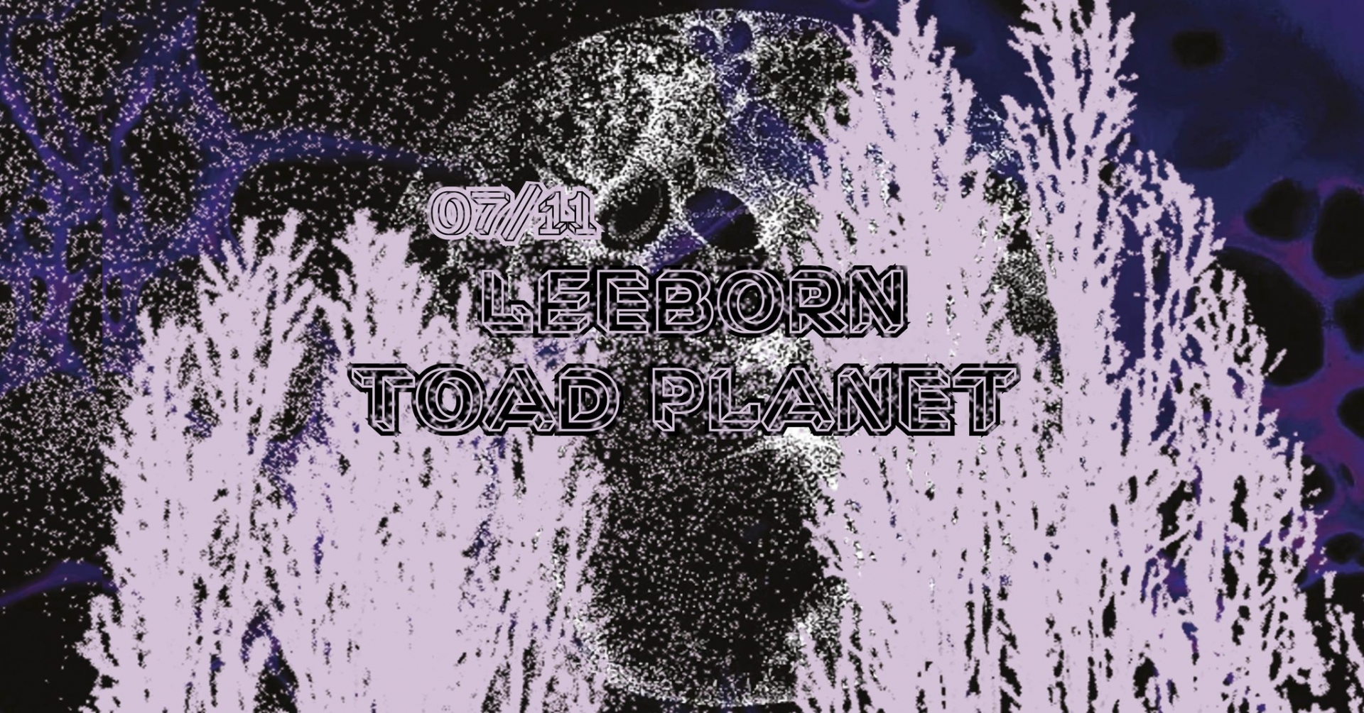 Leeb0rn, Toad Planet