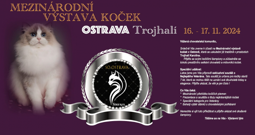 Mezinárodní výstava koček