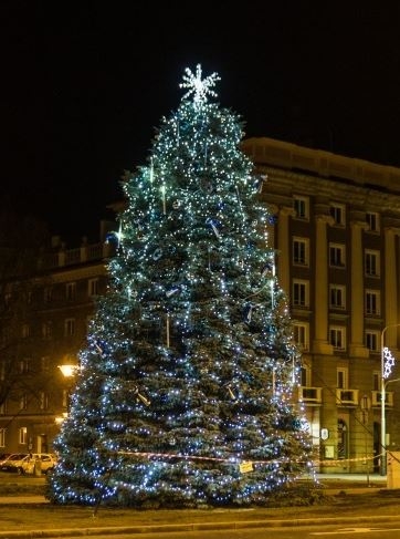 Rozsvícení vánočního stromu na Alšově náměstí