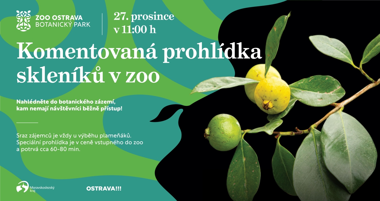 Vánoční prohlídky skleníků