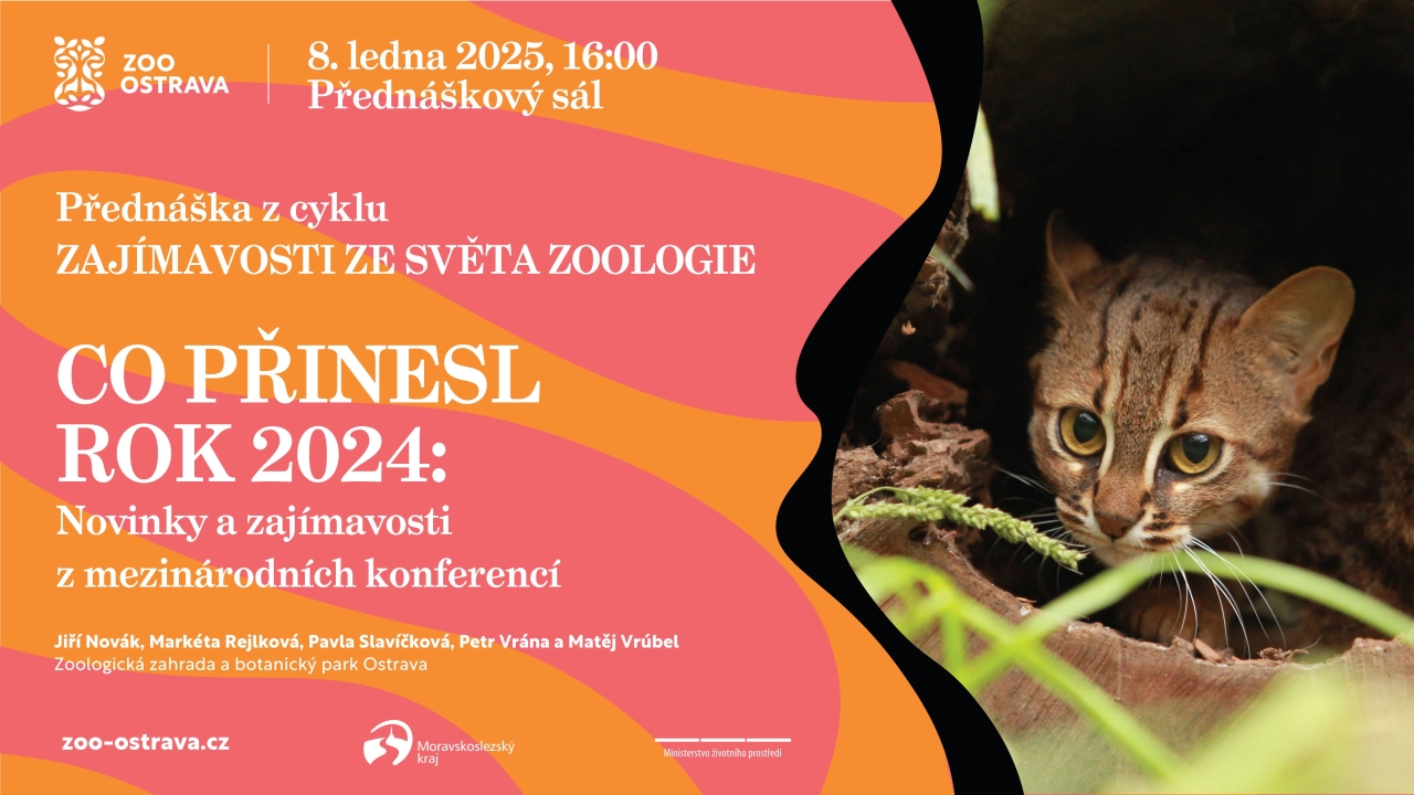 Co přinesl rok 2024?