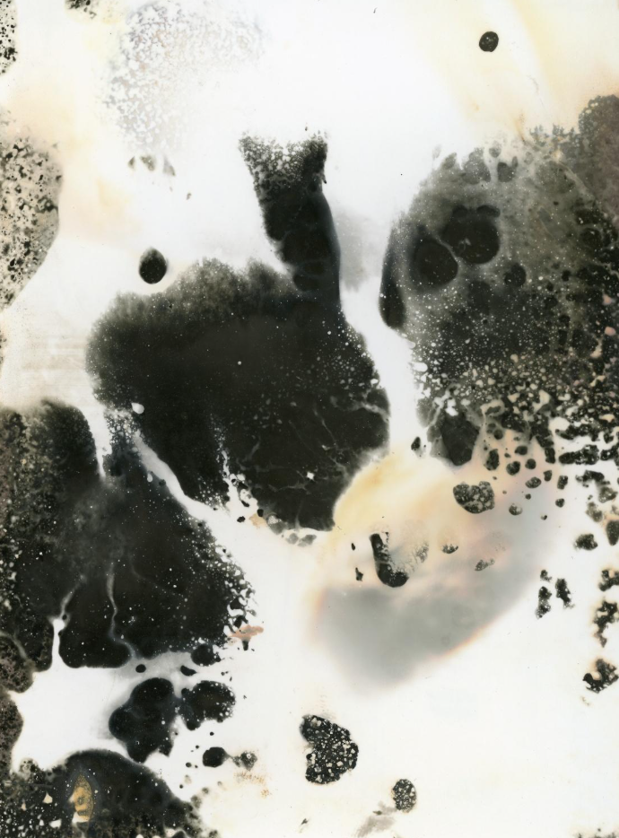 GVUO GEN* / Terezie Foldynová / Darkroom in The Garden and The Garden in The Darkroom