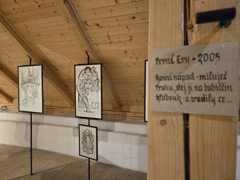 Ženy ostravské a další