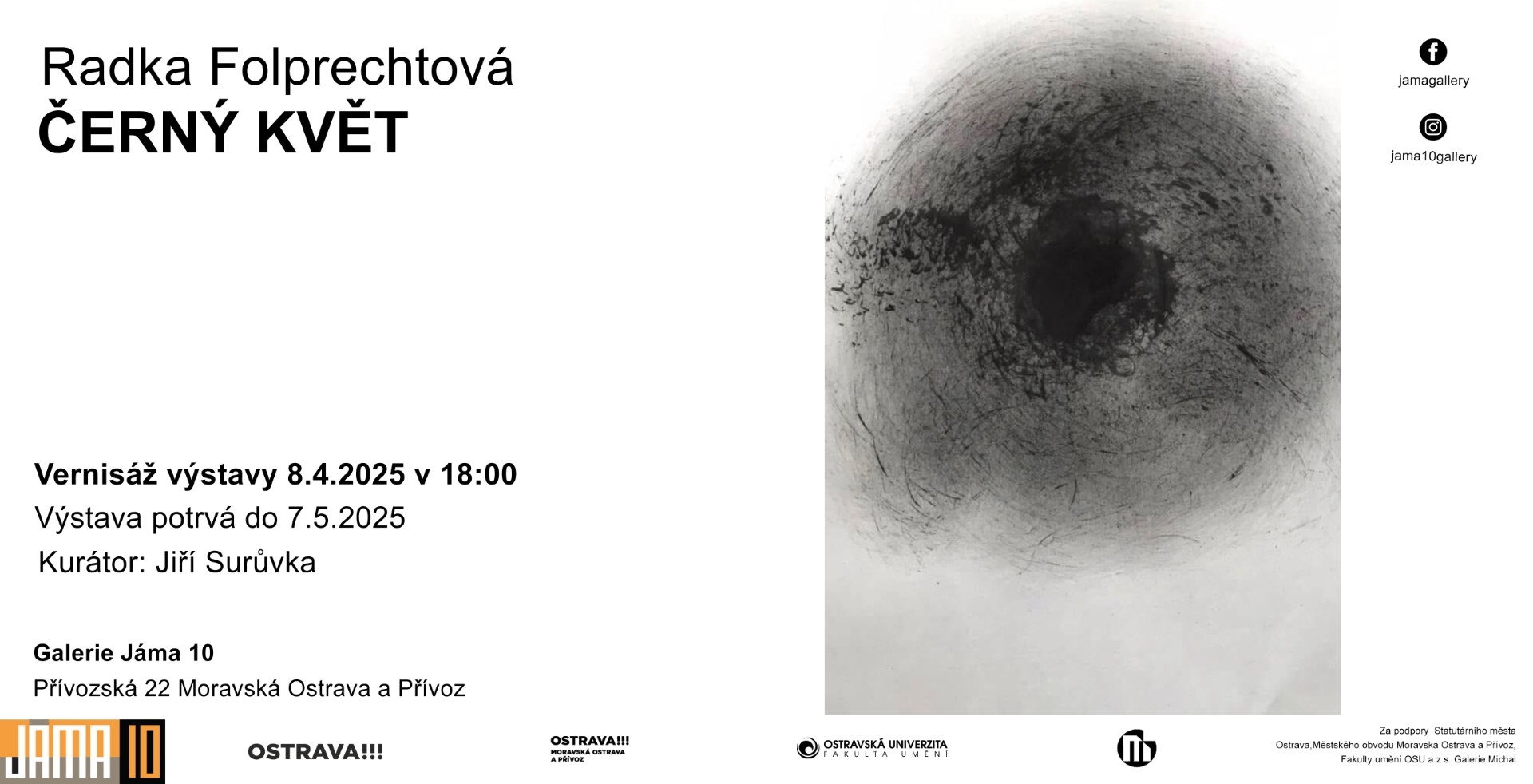 Radka Folprechtová - Černý květ