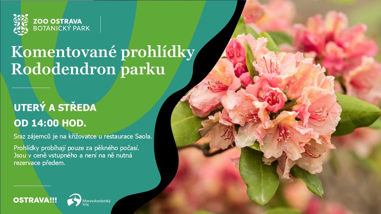 Komentovaná prohlídka Rododendron parku