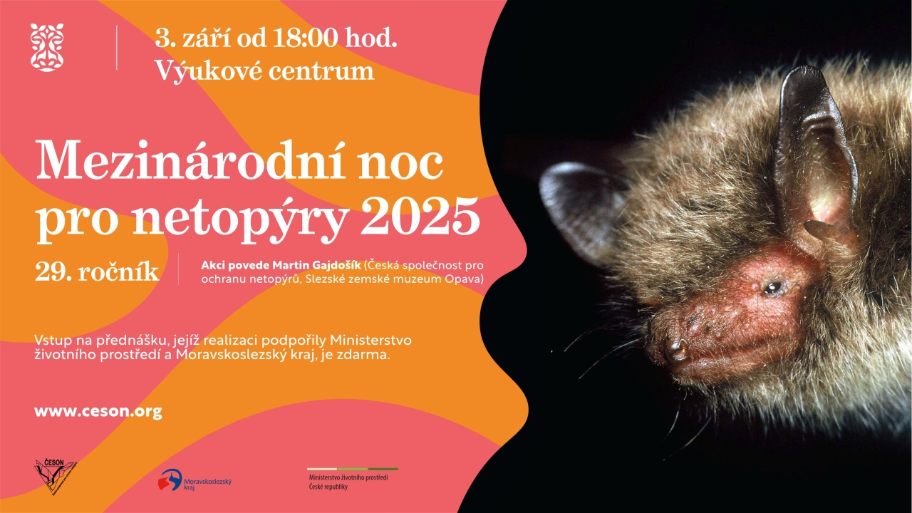 Mezinárodní noc pro netopýry