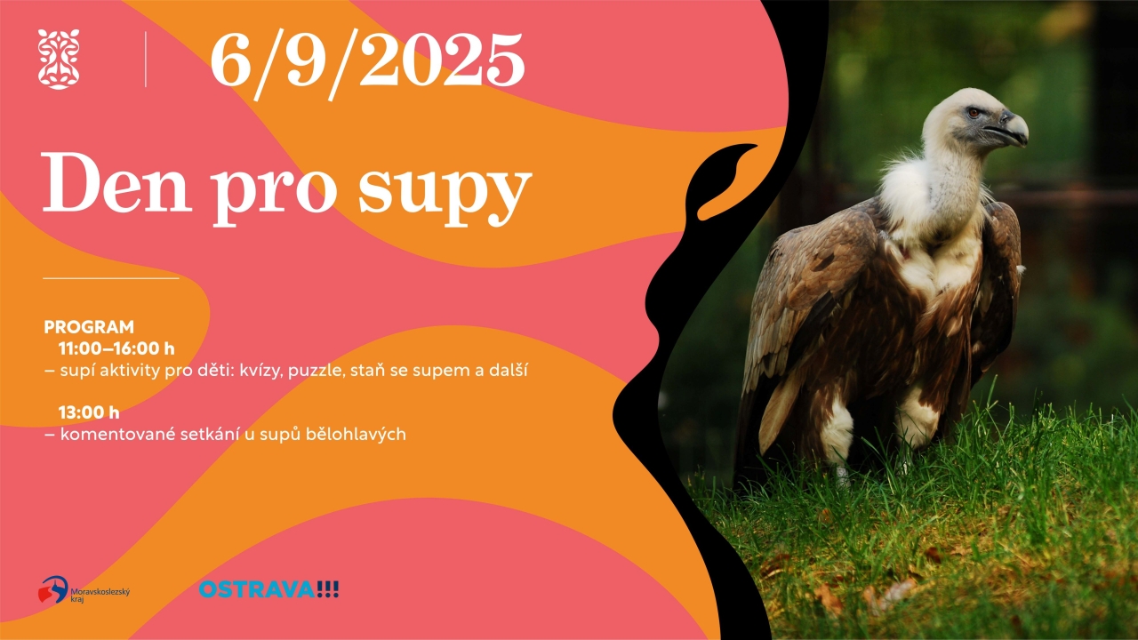 Den pro supy