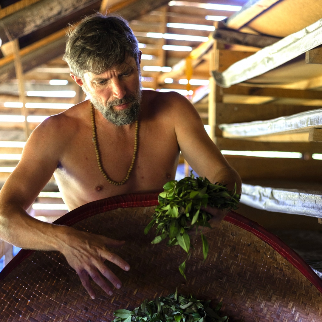 Degustace čajů s Petrem Sičem