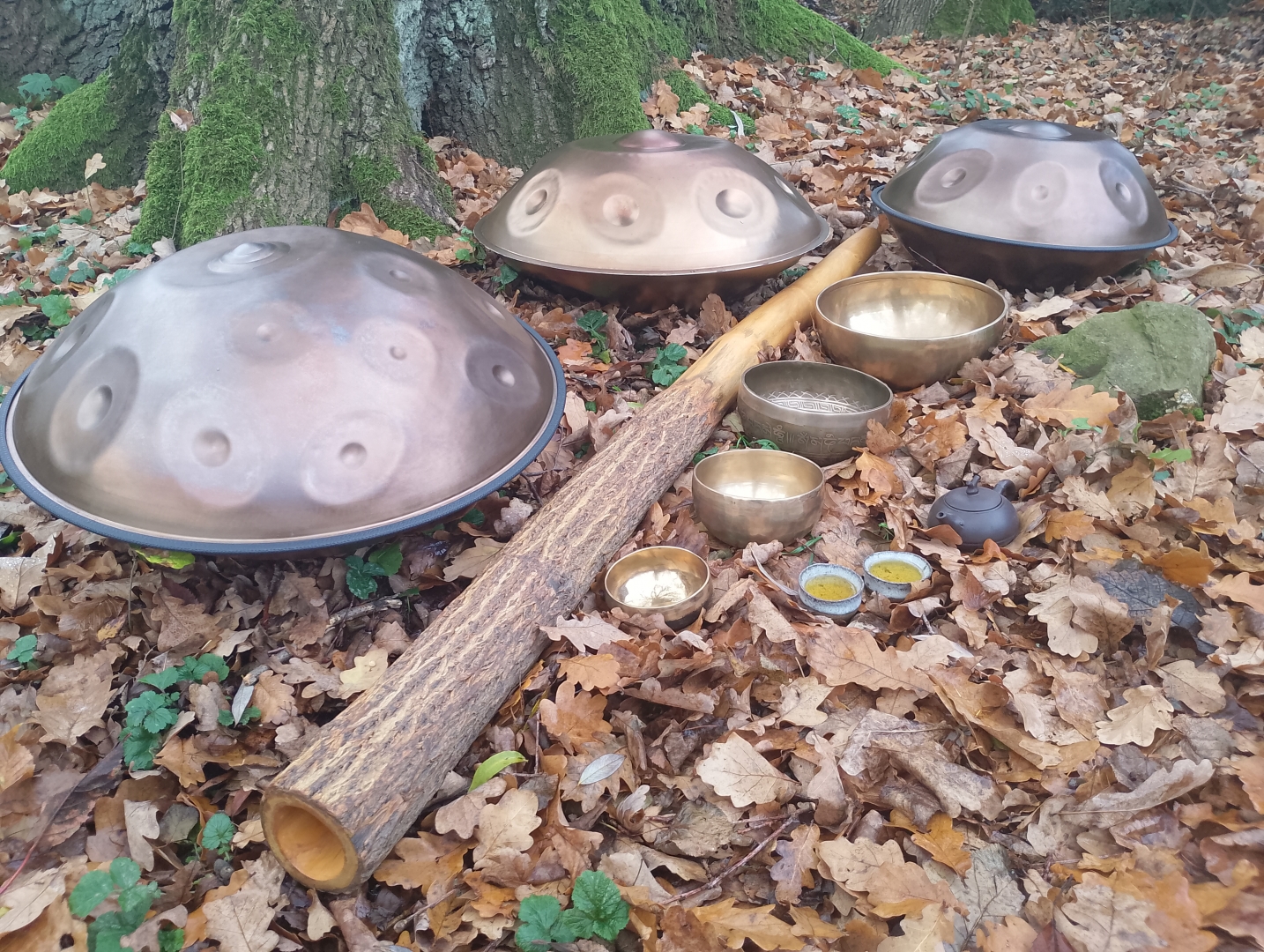 Adhmad - frekvence lesa