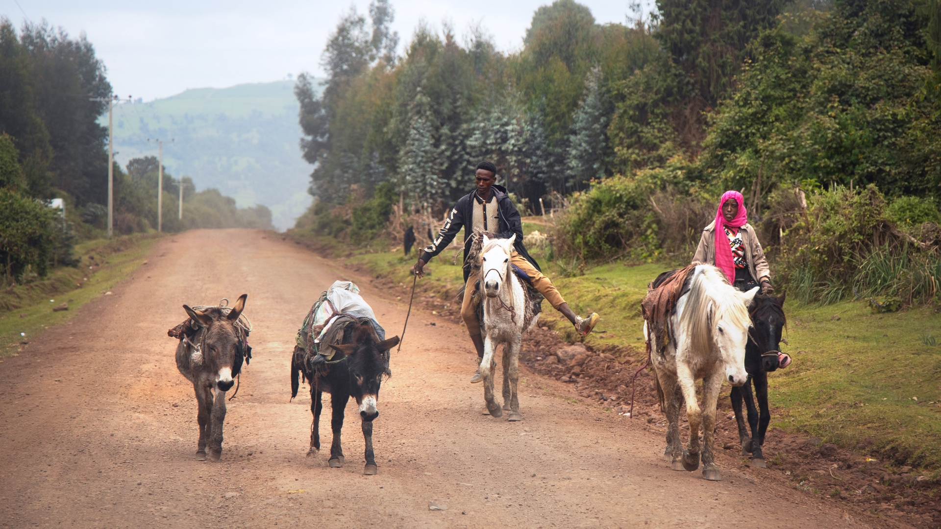 Etiopie – Petr Vrchovský