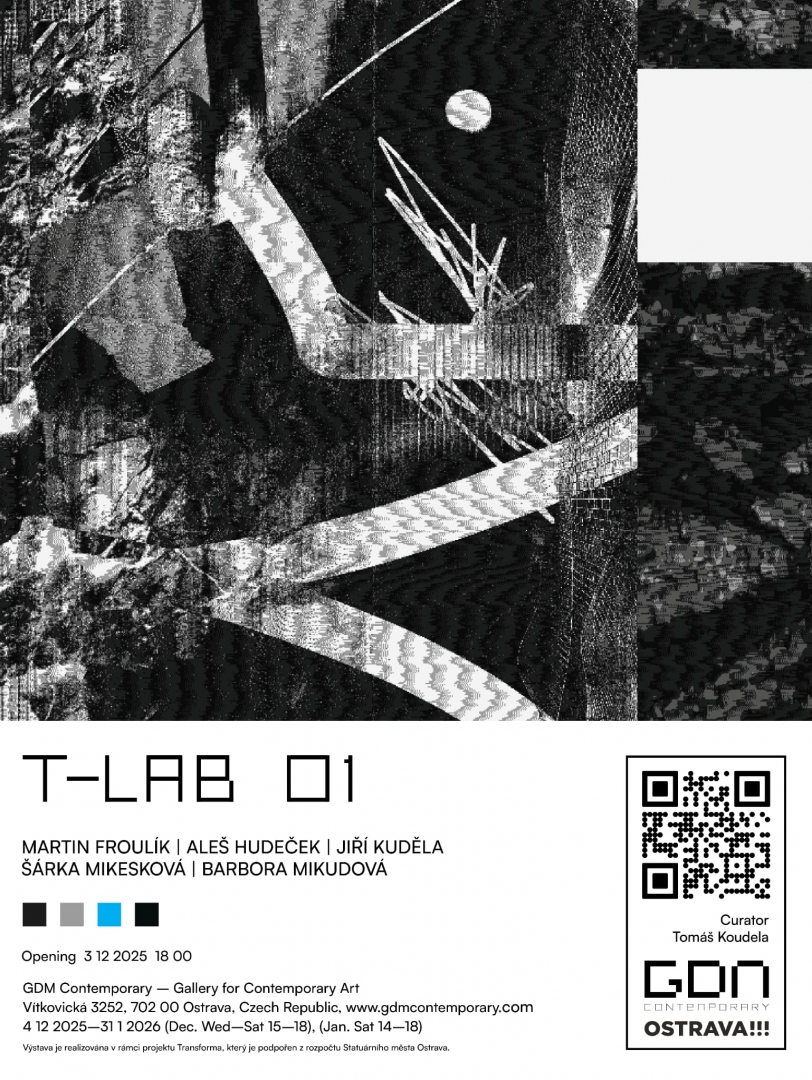 T–lab 01 (Froulík, Hudeček, Kuděla, Mikesková, Mikudová)