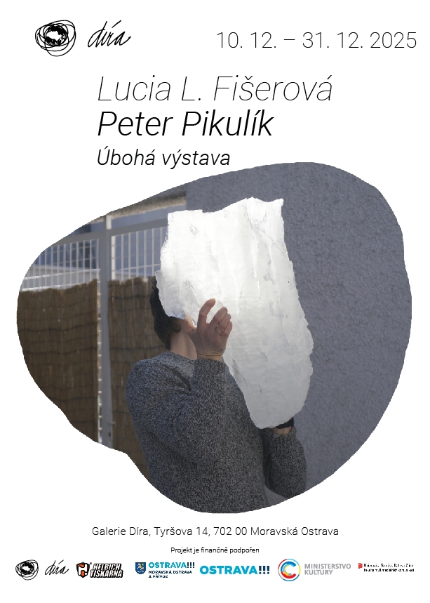 Lucia l. Fišerová, Peter Pikulík - Úbohá výstava
