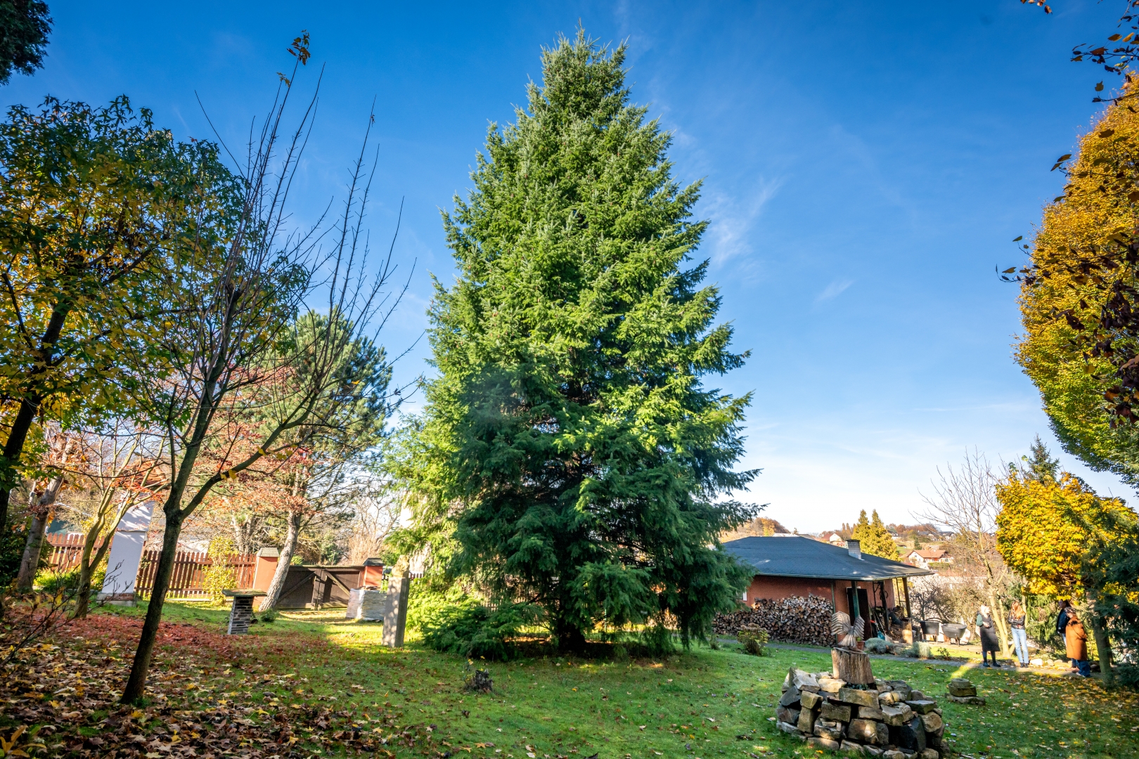 Ostravské Vánoce začínají již tuto sobotu