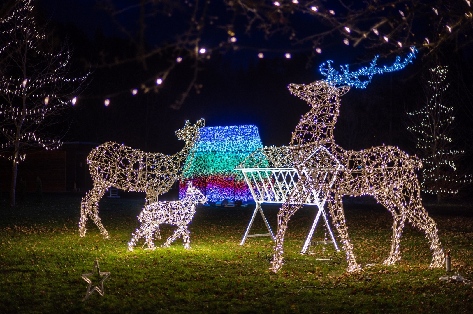 Świąteczne miasteczko