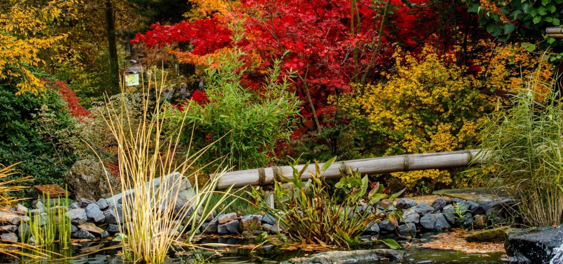 Morawy Północne i Śląsk